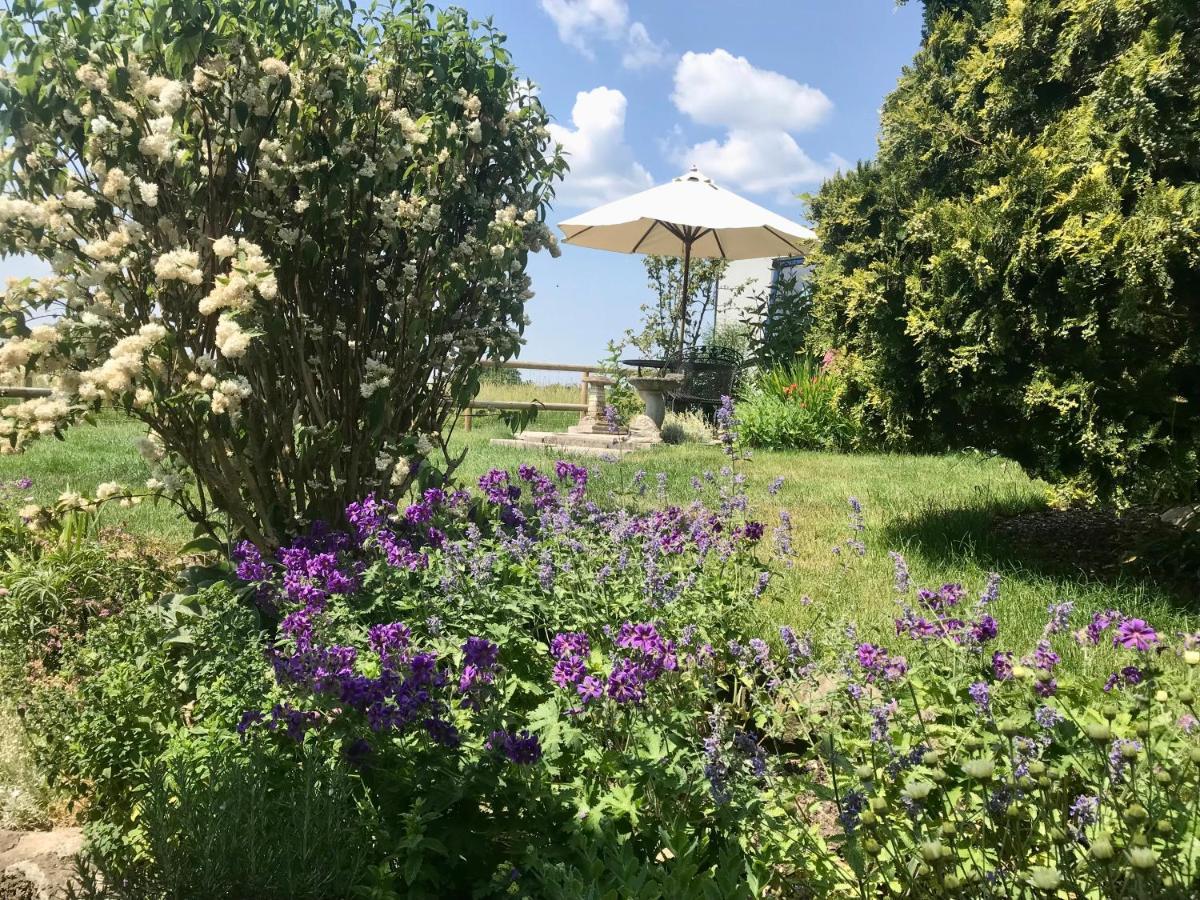 Charming Modernized Country Cottage Near Mere, Wiltshire 米尔 外观 照片